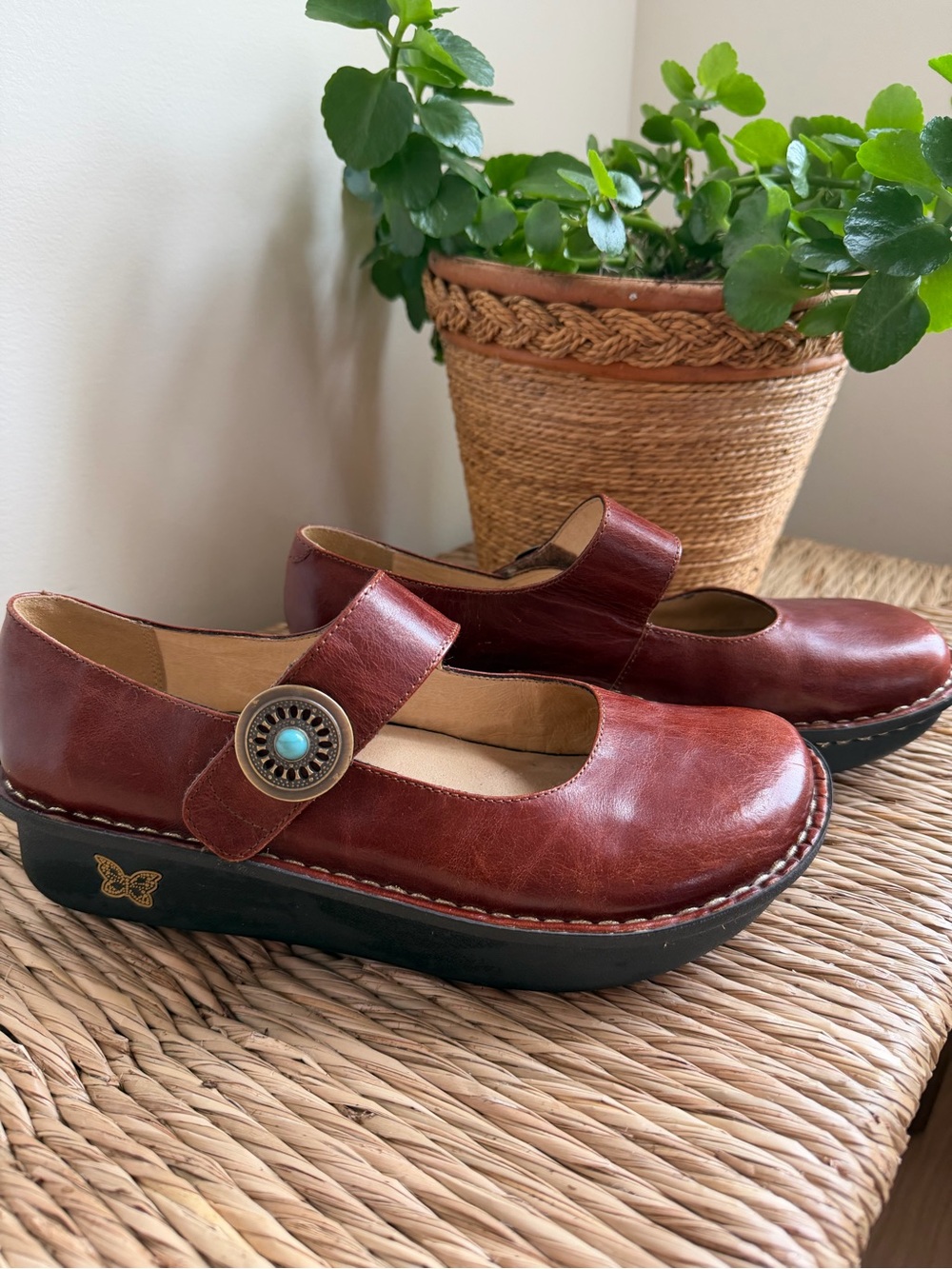 Alegria Paloma Women's Mary Jane Leather Comfort Shoes in Brown Size 39